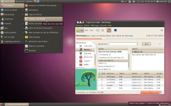 "Ambiance", le nouveau thème par défaut d'Ubuntu 10.04 LTS
